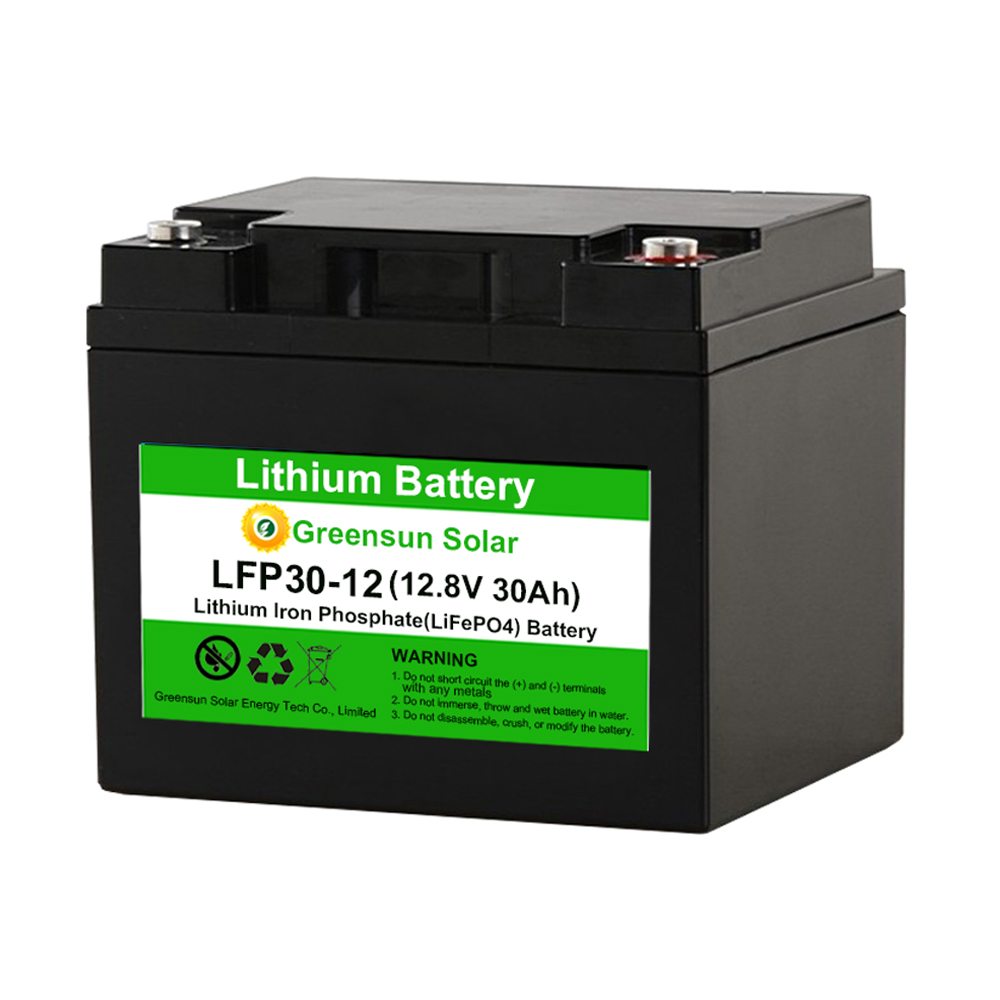 Baterai Lifepo4 12v 30ah baterai besi lithium
