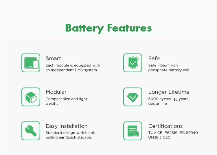 Baterai Lithium Ion Polymer 48V 100AH