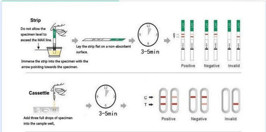 Tes Kehamilan Urine Tes Cepat Hcg