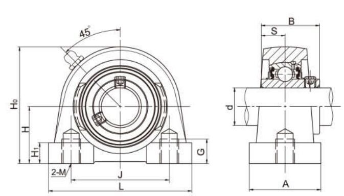 Tapped Base Pillow Block Bearing Housing UCPA206