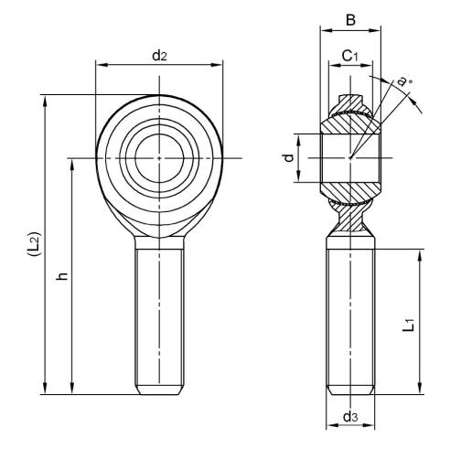 CM10T Inch FISH EYE BEARING UKURAN AMERIKA