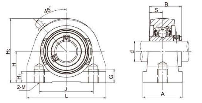 Tapped Base Pillow Block Bearings UCPW208