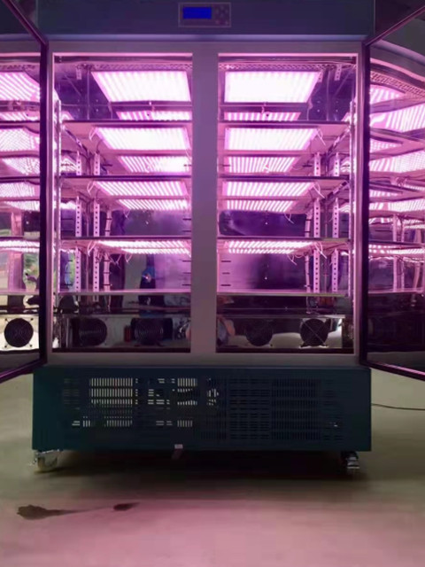 inkubator iklim buatan